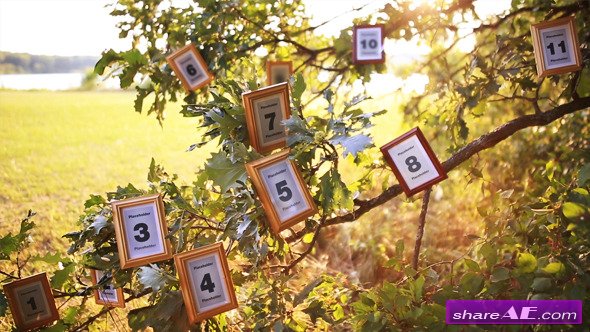 Magic Tree Photo Slideshow - After Effects Project (Videohive)