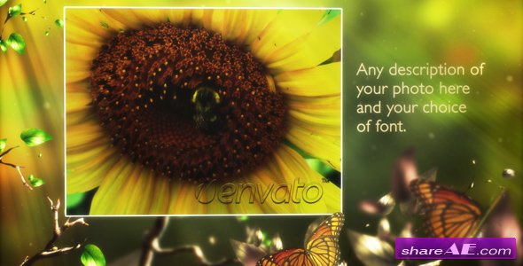 Butterfly Forest - After Effect Project (Videohive)