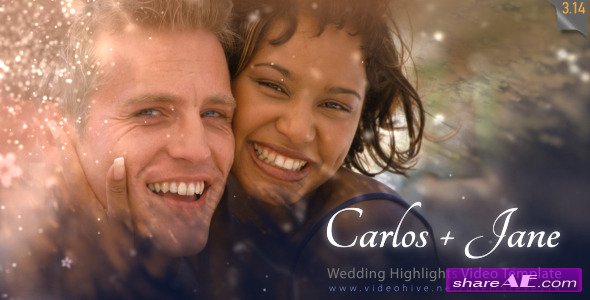 Wedding Highlights - Video Template - After Effects Project (Videohive)