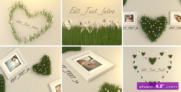 Valentine Photo - After Effects Project (Videohive)