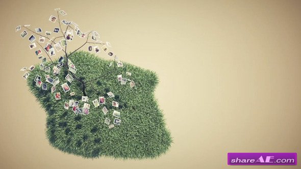 Picture Tree Photo Gallery - After Effects Project (Videohive)