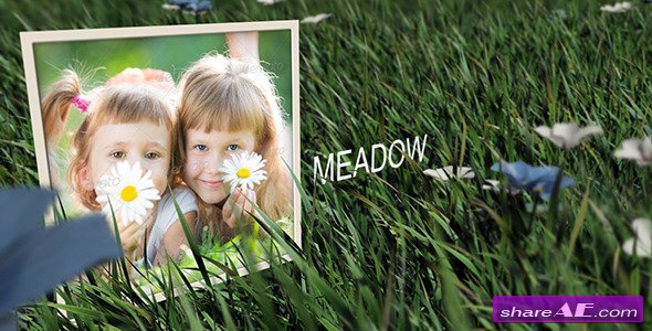 Meadow - After Effects Project (Videohive)