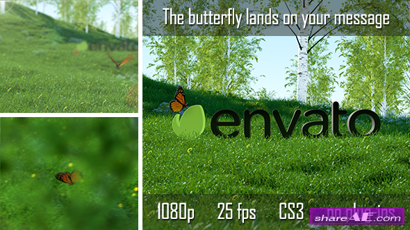 butterfly logo reveal videohive free download after effects templates