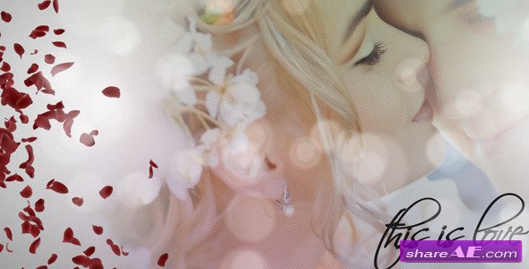 Wedding Album 1837869 - After Effects Project (Videohive)