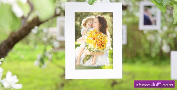 Photo Gallery Blossoms and Bees - After Effects Project (Videohive)