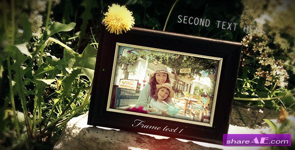 Nature Photo Gallery - After Effects Project (Videohive)