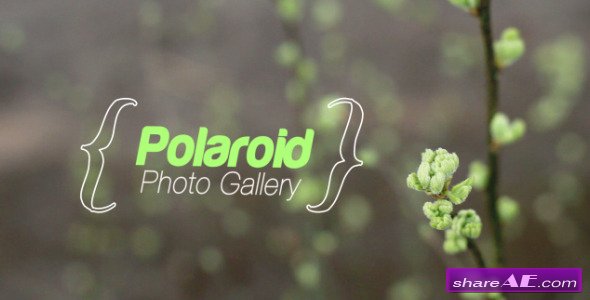 Spring Photo Gallery - After Effects Project (Videohive)