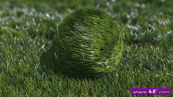 Bouncy Grass Ball Logo Reveal - After Effects Project (Videohive)