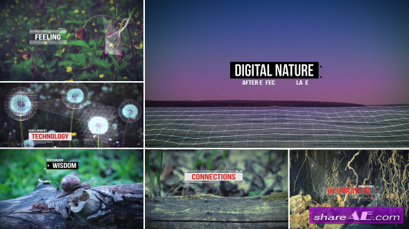 Videohive Digital Nature - After Effects Project