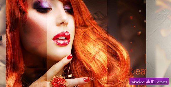 Videohive Elegant Picture Transition - After Effects Project