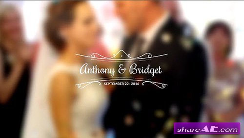 Wedding Titles Vol 4 - After Effects Template (Motion Array)