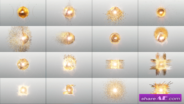Gold Package of Logos - Videohive