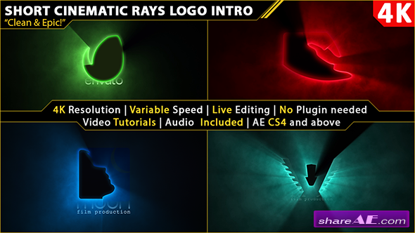 Videohive Short Cinematic Light Rays Logo Intro
