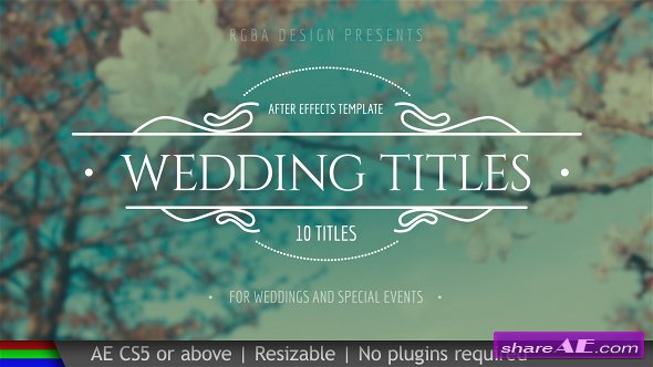 Videohive Wedding Titles 19995952