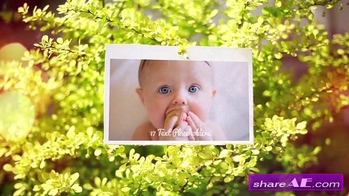Summer Slideshow 36182 - After Effects Template (Motion Array)