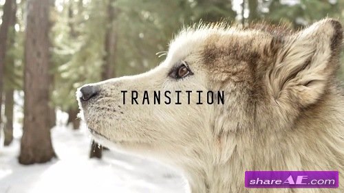Wolf Character Animation Kit - After Effects Template (Motion Array)