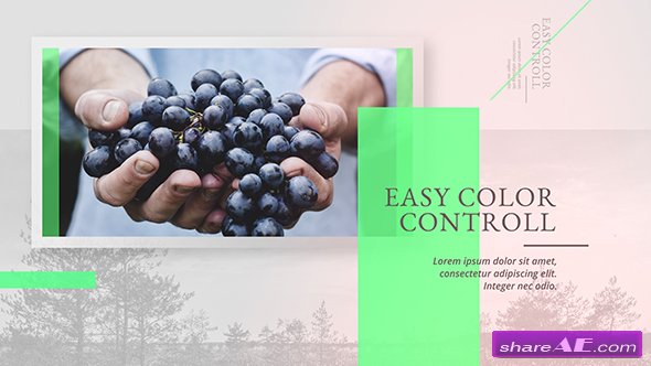 Videohive Modernizm Slideshow V.2