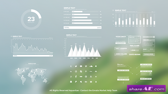Videohive Infographic Maker