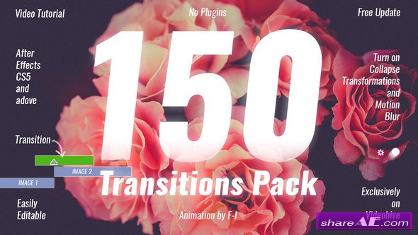 Videohive Transitions Pack 19918260