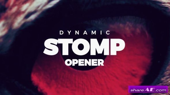 Videohive Dynamic Stomp Opener 21711200