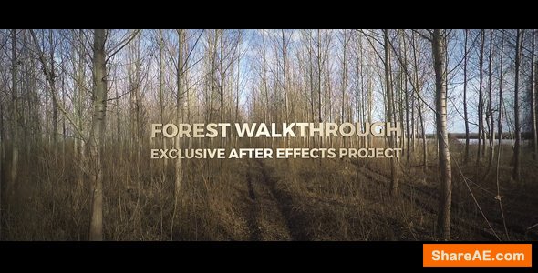 Videohive Forest Walkthrough