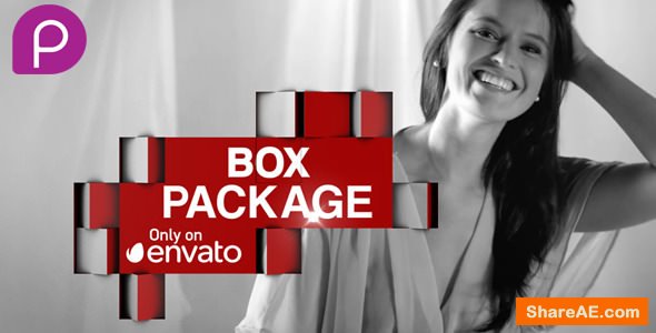 Videohive Box Package
