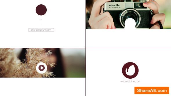 Videohive Website Photo Logo Reveal