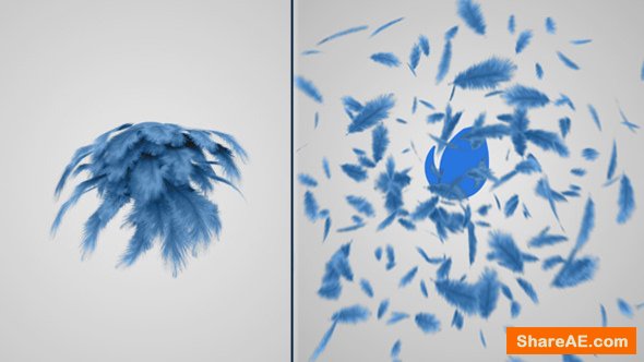 Videohive Feathers Logo Reveal