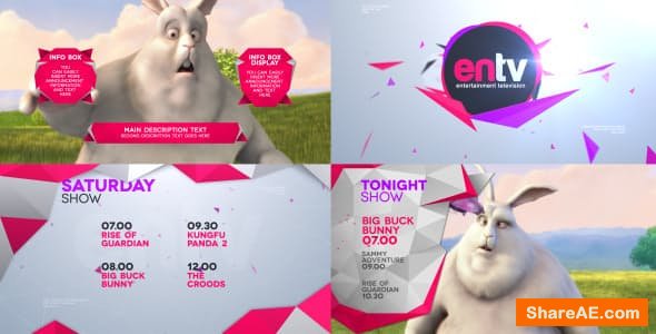 Videohive ENTV Broadcast Pack