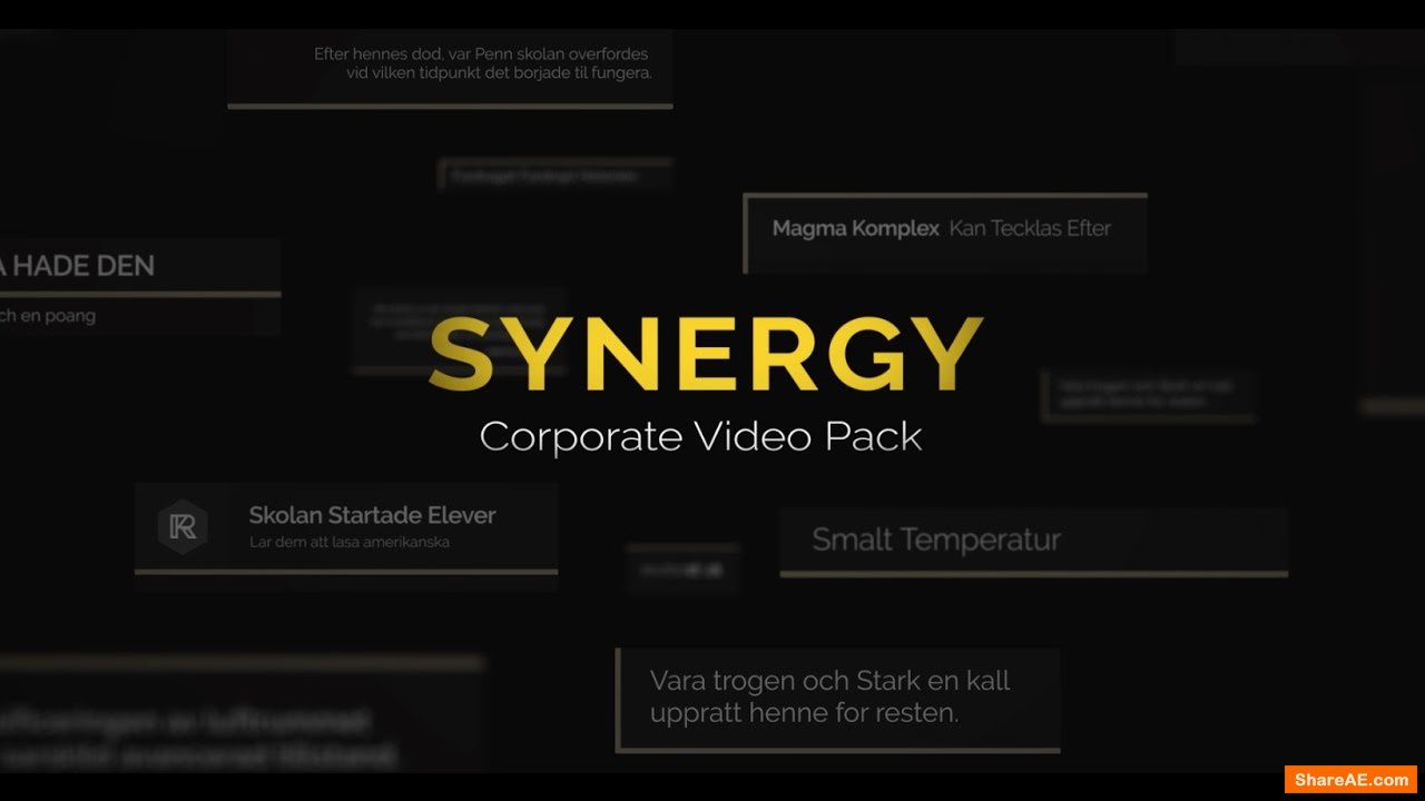 Synergy: 65 Corporate Video Elements (RocketStock)