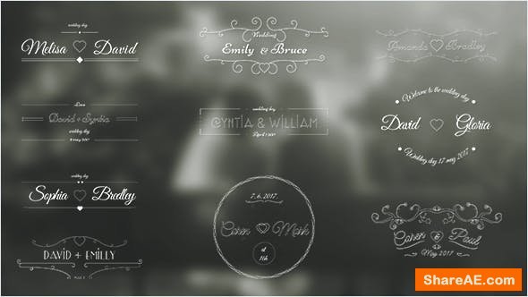 Videohive Wedding Labels
