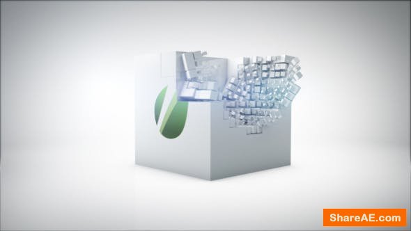 Videohive Box Logo Reveal
