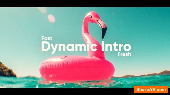 Videohive Dynamic Fast Intro