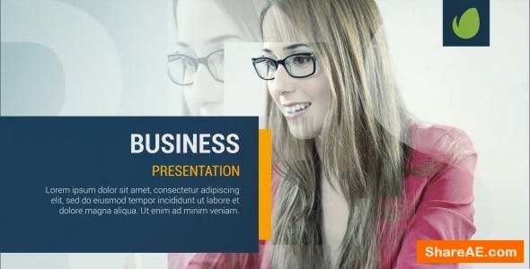 Videohive Business Presentation 20616675