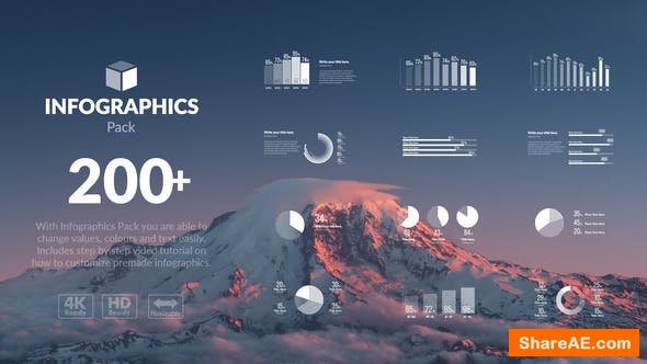 Videohive Infographics Pack 21573990