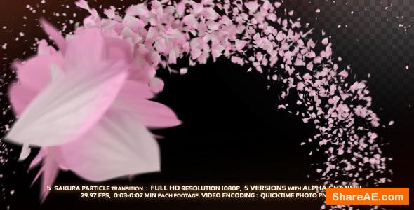 Videohive 5 Sakura Particle Transition - Motion Graphics