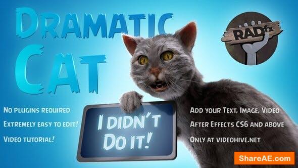 Videohive Funny Dramatic Cat