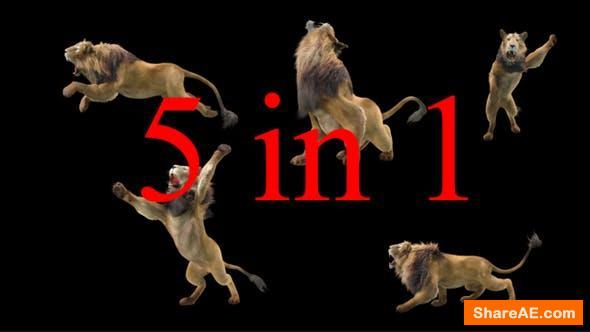 Videohive Lion 5 Pack - Motion Graphics