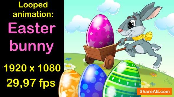 VIDEOHIVE Easter bunny run cycle 25773627