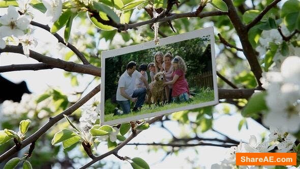 VIDEOHIVE Family Photo Gallery 38276715